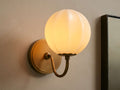 Agnea Gooseneck Sconce