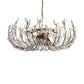 Adela 8 Light Chandelier