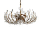 Adela 6 Light Chandelier 26"