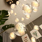 Adonis Suspension Water Drop Chandelier-Meet Lighting