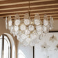 Darcia Clear Functional Design Chandelier-Meet Lighting