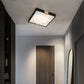 Lucien Ceiling Light