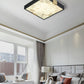 Lucien Ceiling Light